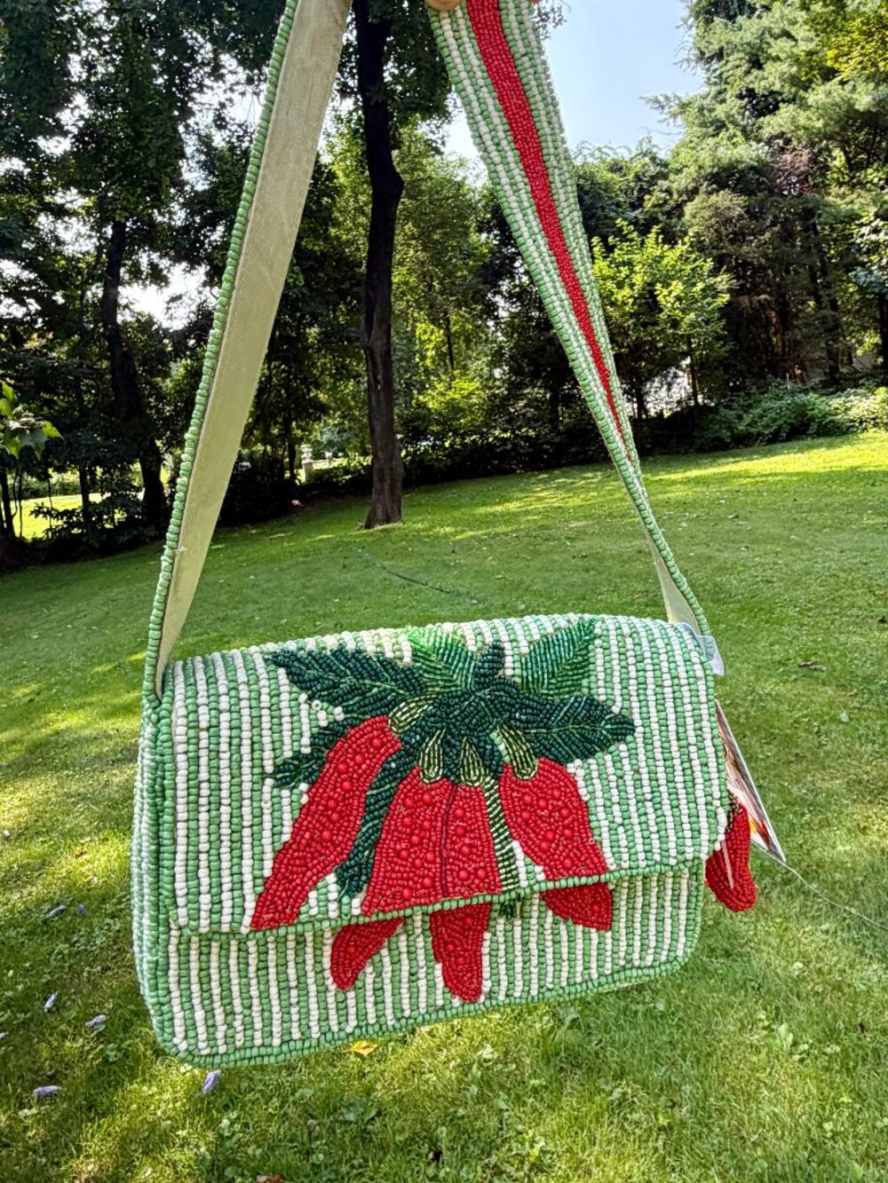 NWT Striped Viral Beaded Bag Chili Pepper Red & Green - Picture 3 of 5